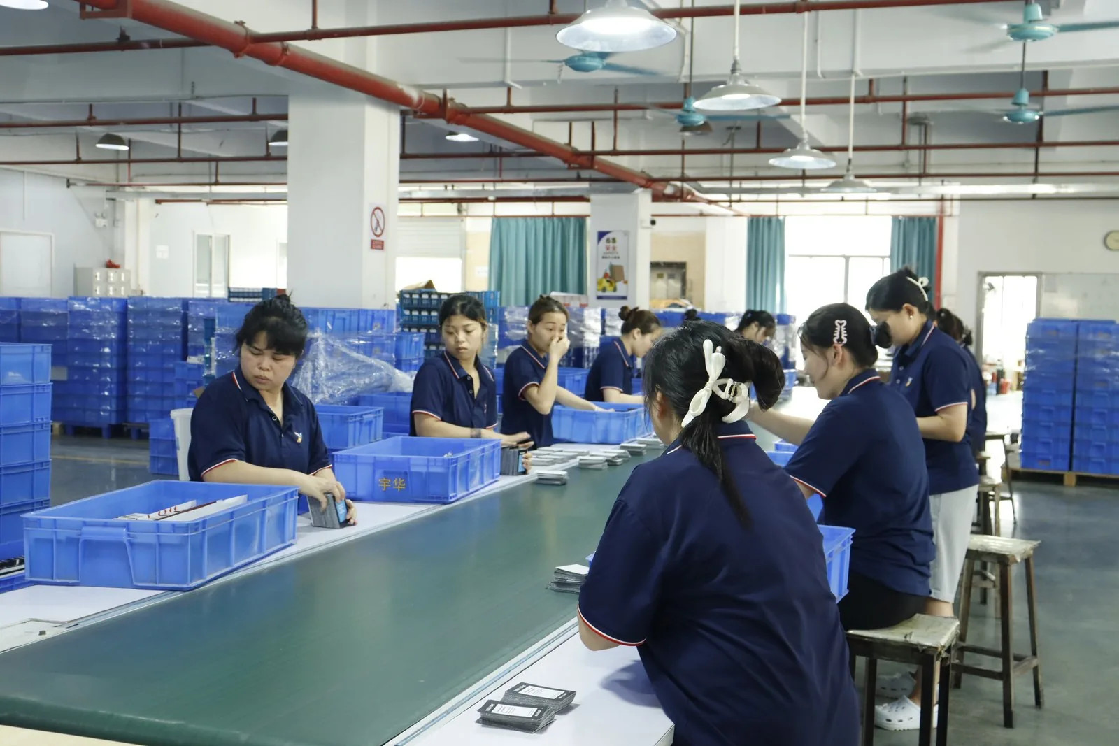 Packing station — cards into tuck boxes and trays